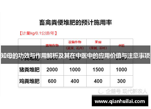 知母的功效与作用解析及其在中医中的应用价值与注意事项