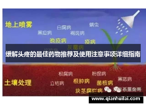 缓解头疼的最佳药物推荐及使用注意事项详细指南